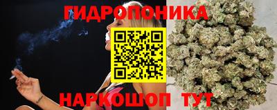 крисы Гай