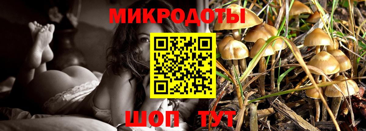 Псилоцибиновые грибы прущие грибы Горно-Алтайск